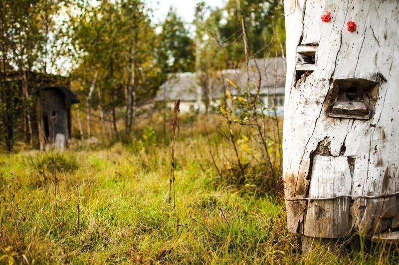 ホテル "Дальний Кордон" Moshchanytsya エクステリア 写真